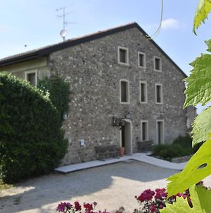 Agriturismo Tenuta San Leone Villa Valeggio sul Mincio Exterior photo