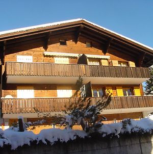 Chrinnengletscher Grindelwald Exterior photo