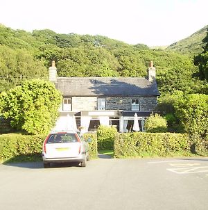 The Dolgoch Bed and Breakfast Bryn-crug Exterior photo