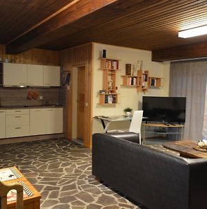 Cozy Apartment In County Of Manderscheid With Tv Exterior photo