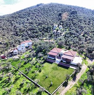 Gera'S Olive Grove - Elaionas Tis Geras Hotel Lesbos Island Exterior photo