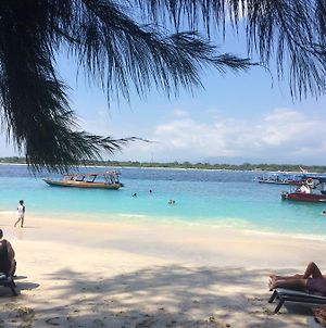 Gili Turtle Beach Resort Lombok Exterior photo