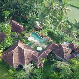 Villa Orchid Bali Denpasa Exterior photo
