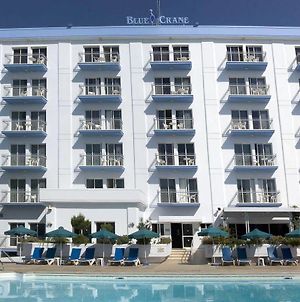 Blue Crane Hotel Apts Limasol Exterior photo