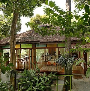 Ambong-Ambong Langkawi Rainforest Retreat Villa Exterior photo