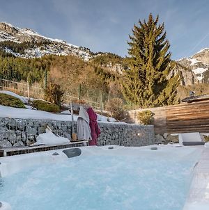 Les Edelweiss Mont-Blanc Villa Passy  Exterior photo
