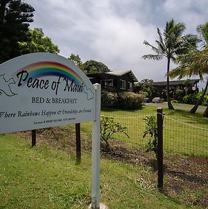 God'S Peace Of Maui Bed and Breakfast Makawao Exterior photo