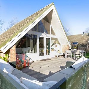 Bungalow Jonkerstee 81 - Ouddorp Near The Beach With Big Garden - Not For Companies Villa Exterior photo