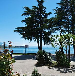 Vila Delfin Hotel Ohrid Exterior photo