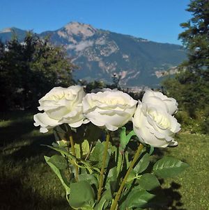 B And B White Rose Trente Exterior photo