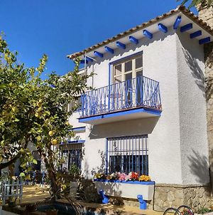 Blue Castle Guesthouse Málaga Exterior photo