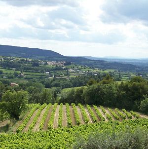 Gite En Provence Au Coeur Des Vignes Villedieu  Exterior photo