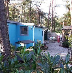 Boshuis Turquoise / smaakvol genieten op de Veluwe Villa Hoenderloo Exterior photo