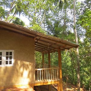 Polwaththa Eco Lodges Kandy Exterior photo