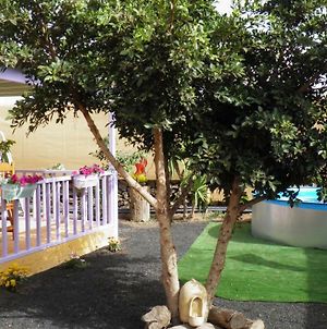 Chalet en oasis privado Hotel La Vegueta Exterior photo