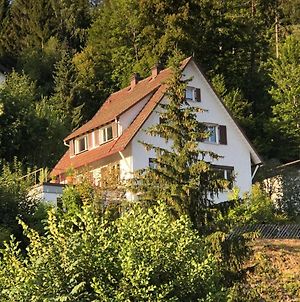 Ferienhaus Kroneck Triberg im Schwarzwald Exterior photo