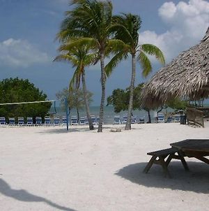 Licensed Mgr - Modern Oceanfront - Ocean Views Condo! Bar And Beach Resort! Key Largo Exterior photo