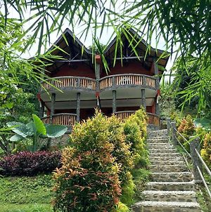 Hotel Orangutan Bukit Lawang Exterior photo