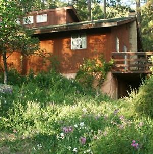 Sunny Pines Cottage Mariposa Exterior photo