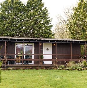 Bluebell Lodge Set In A Beautiful 24 Acre Woodland Holiday Park Newcastle Emlyn Exterior photo