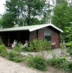 Cosily Furnished Chalet With Microwave, In A Holiday Park In Twente Ootmarsum Exterior photo
