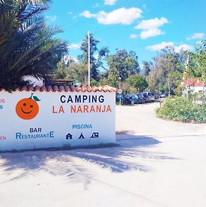 Camping La Naranja Hotel Gandía Exterior photo
