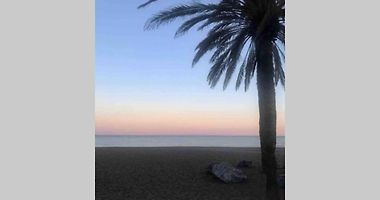 WintowinRentals Relax & Frontal Sea View Apartment in Fuengirola.